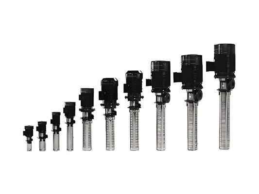 ตัวเลือกสําหรับปั๊มดําน้ํา Grundfos MT Series; ปั๊มหลุดศูนย์กลางแบบตั้งหลายระดับของ Grundfos